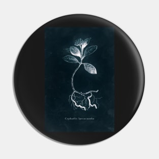 Cyanotype - Cephaelis Ipecacuanha Pin
