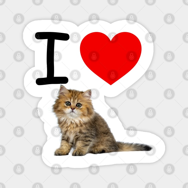 I HEART CUTE FLUFFY KITTEN Magnet by EmoteYourself