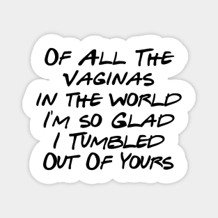 of All The Vaginas in the world I'm so Glad I Tumbled Out Of Yours Magnet