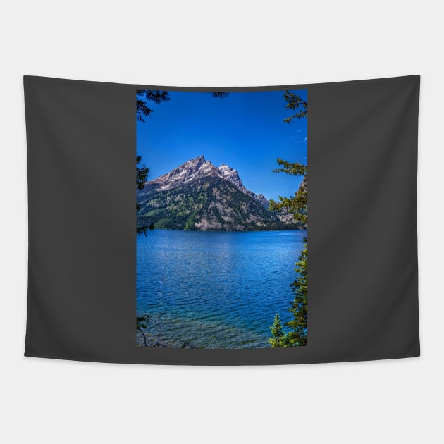 Jenny Lake Grand Teton National Park Tapestry by Gestalt Imagery