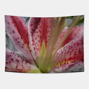 Beautiful photograph of lily flower Tapestry