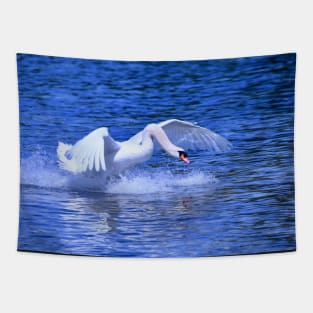 Swan 4 / Swiss Artwork Photography Tapestry