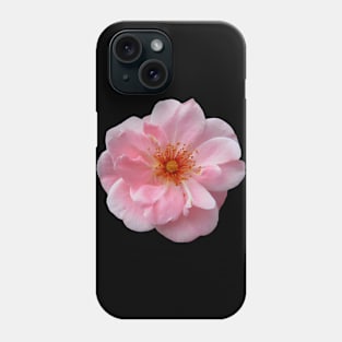 wonderful pink rose, roses, bloom, nature Phone Case