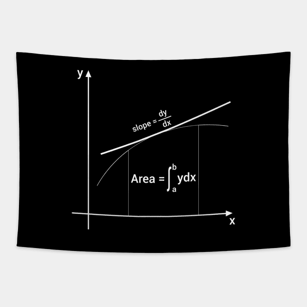 slope of the curve and integral area Tapestry by samzizou