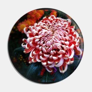 Dahlia Pin