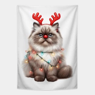 Christmas Red Nose Himalayan Cat Tapestry