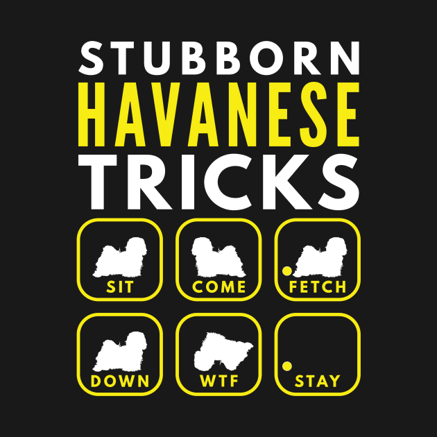 Stubborn Havanese Tricks - Dog Training by DoggyStyles