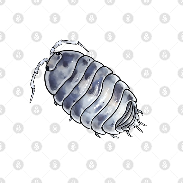 Porcellio laevis "dairy cow" Isopod by slothbug