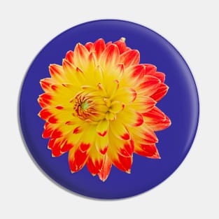 Red and Yellow dahlia Pin