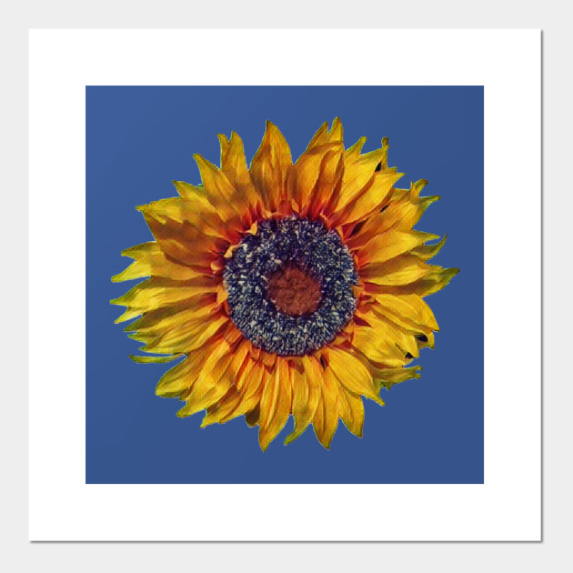 Sunflower Digital Painting Sunflower Posters And Art Prints