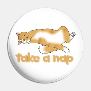 Take a nap (fluffy ginger cat) Pin