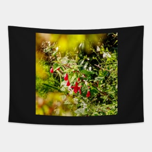 Red Fuschia Tapestry