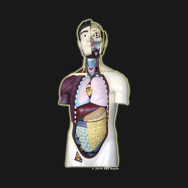 Mr. Guts: Anatomical Model by SuzDoyle