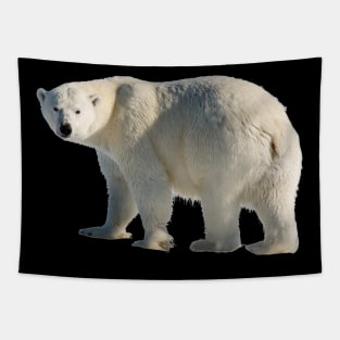 Polar Bear Tapestry