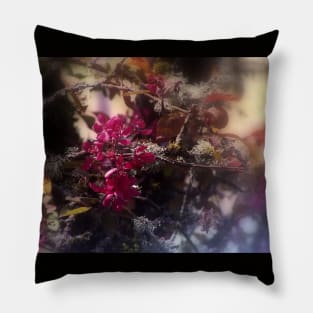 red Malus 'Radiant'  crab apple blossoms #2 Pillow