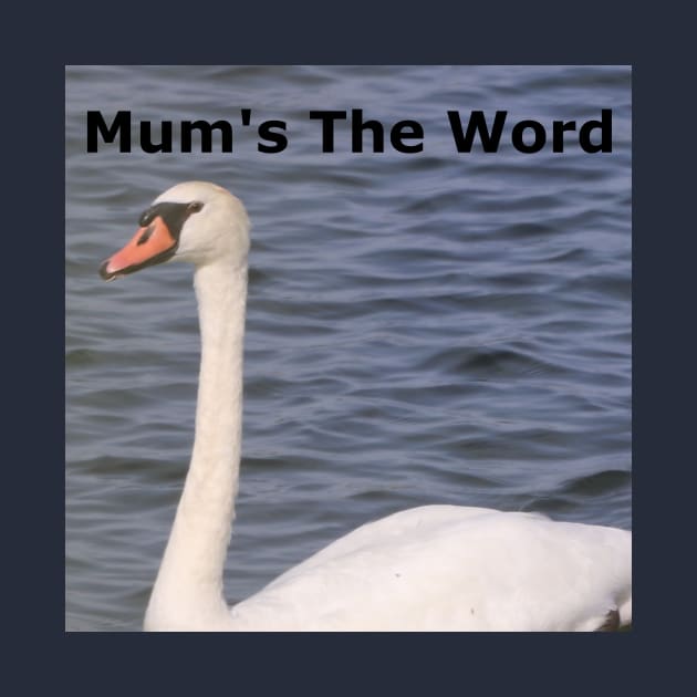 A Mute Swan by Judy Geller