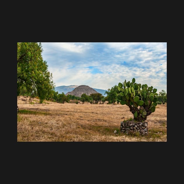 Teotihuacan, Mexico. by bulljup