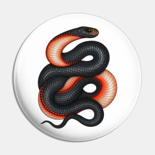 Red-bellied Black Snake Pin