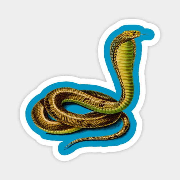 Vintage Egyptian cobra snake reptile Magnet by Phantom Troupe