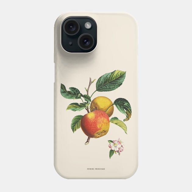 Apple Antique Botanical Illustration Phone Case by Antiquated Art