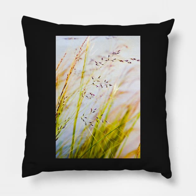 Grass Pillow by mariola5
