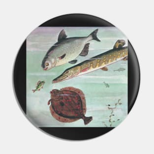 Curious Fish Marine Life Kids Book Illustration Pin