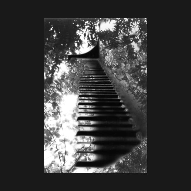 Piano in the Trees (B&W) by Voice0Reason