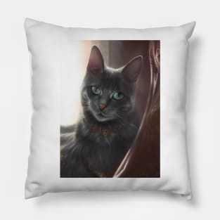 Mystic Mage Cat: Freya Pillow