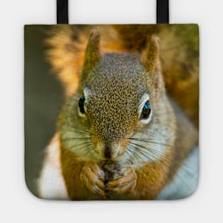 Red Squirrel Tote