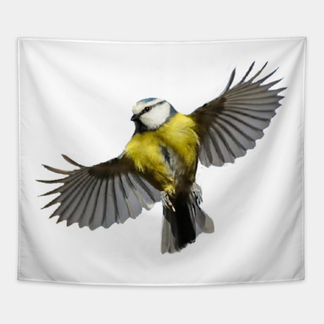 Tit Birds Tee Present T Shirt Bird Nature