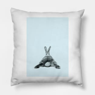 Rabbit 24 Pillow