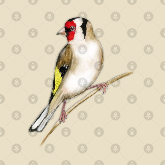 Goldfinch watercolor by Bwiselizzy