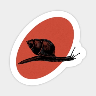 Snail print Magnet