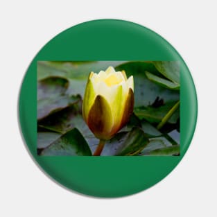 English Wild Flowers - Water Lily Pin