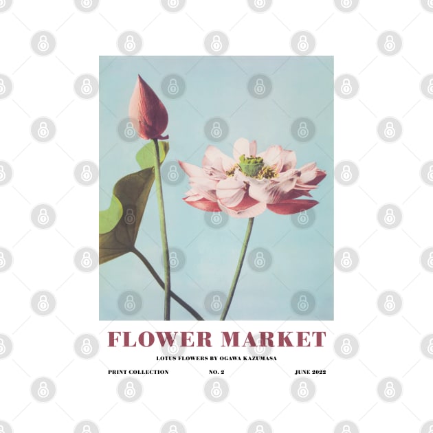 Flower Market Lotus Flowers Ehibition Wall Art by VanillaArt