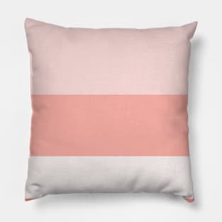 A marvelous unity of Very Light Pink, Pale Pink, Melon and Peachy Pink stripes. Pillow