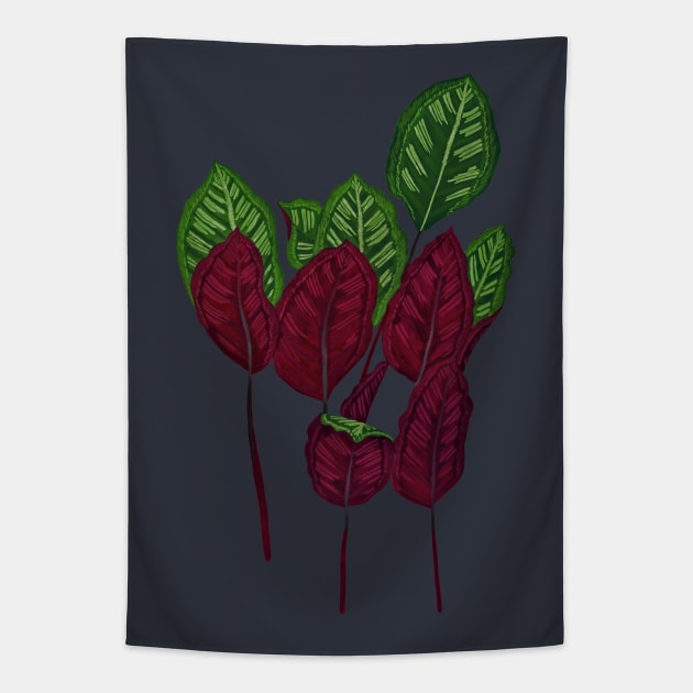 Calathea houseplant - Midnight Tapestry by MitaDreamDesign