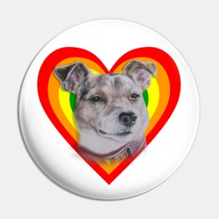 Love heart Jack Russell terrier! Pin