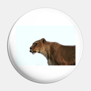 Lioness Pin