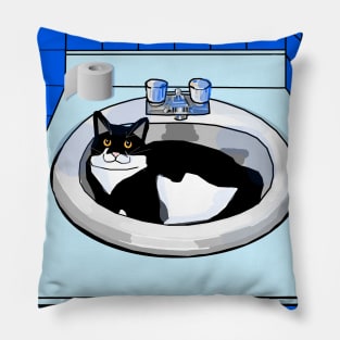 Cute Tuxedo Cat in the bathroom basin  Copyright TeAnne Pillow