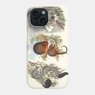 Animals Of Australia The Possums Phone Case