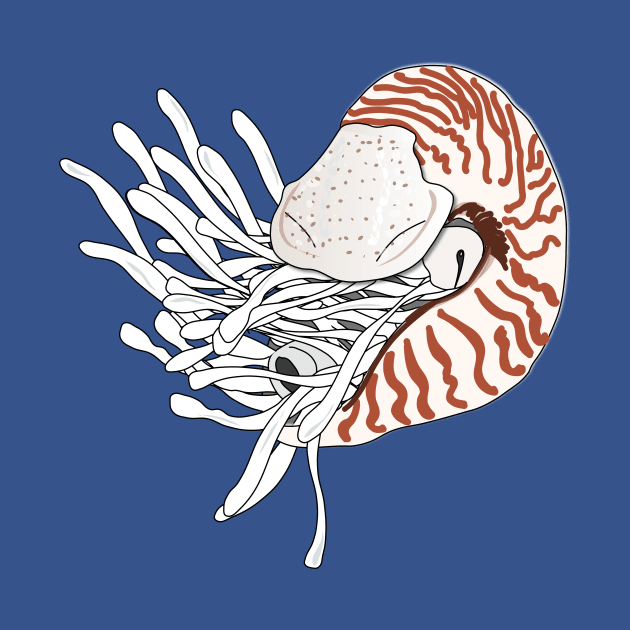 Nautilus nautile tentacles mollusc by FabuleusePlanete