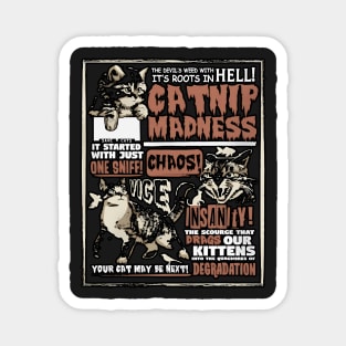 Catnip Madness Chaos Cute Kitten Funny Cat Humor Magnet