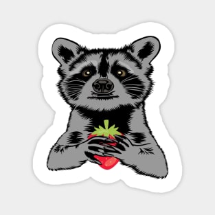 Begging Raccoon With Strawberry Magnet