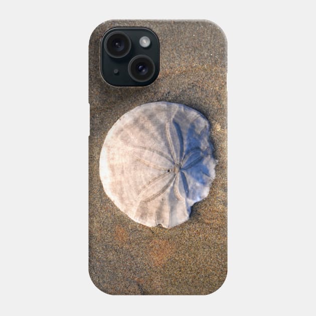 Sand Dollar in the Sand Phone Case by DeniseBruchmanPhotography