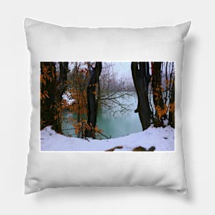 A winter day Pillow