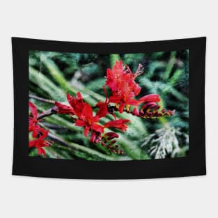 Montbretia Tapestry