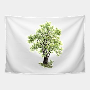 April birthday elm tree Tapestry