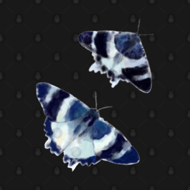 Tropical blue night moth by Clariisa