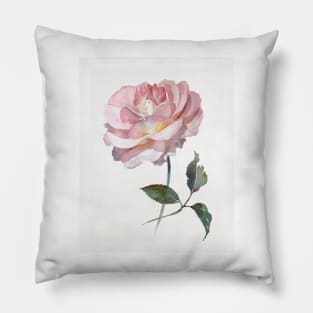 Pink delicate rose hand painted watercolour by Leanne Pillow